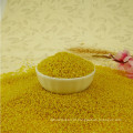 Millets hulled yellow millet